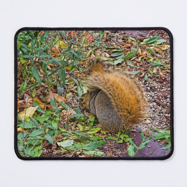 Item preview, Foraging Fox Squirrel designed and sold by alanathrower.