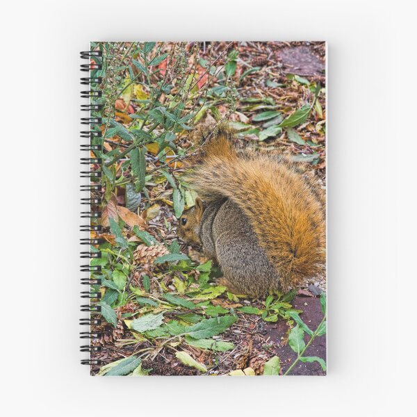 Item preview, Foraging Fox Squirrel designed and sold by alanathrower.
