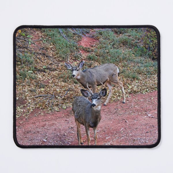 Item preview, Two Bucks Two Bucks designed and sold by alanathrower.