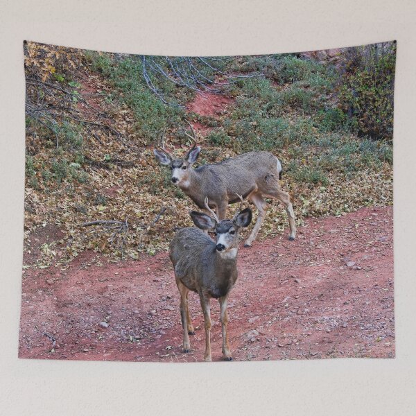 Item preview, Two Bucks Two Bucks designed and sold by alanathrower.