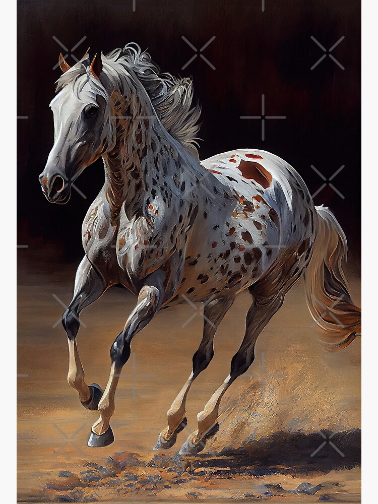 SÍ AL ARTE DE LA TAUROMAQUIA - Caballos Raza Appaloosa