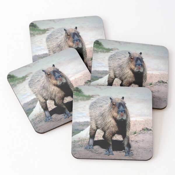 Item preview, Capybara designed and sold by Savannah Gibbs.