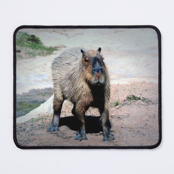 Item preview, Capybara designed and sold by Savannah Gibbs.
