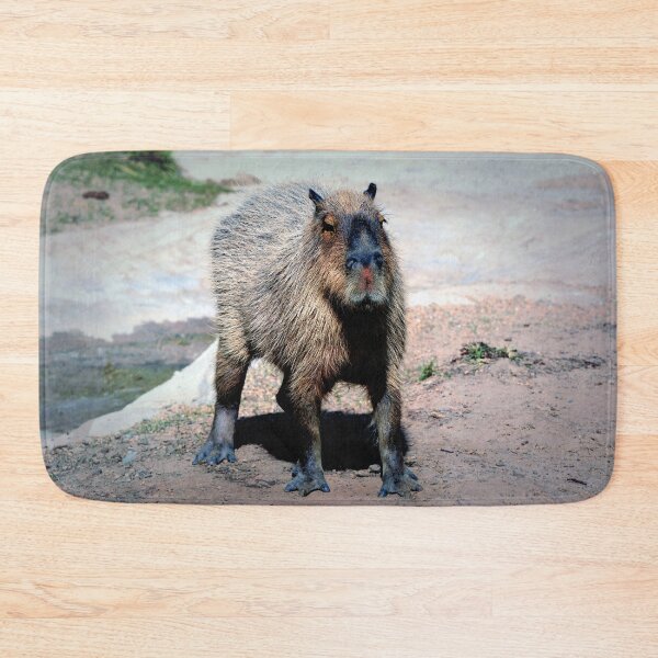 Item preview, Capybara designed and sold by Savannah Gibbs.