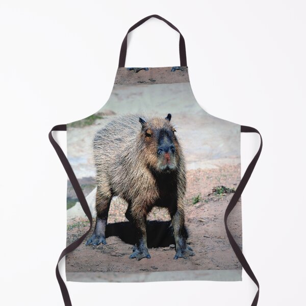 Item preview, Capybara designed and sold by Savannah Gibbs.