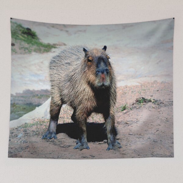Item preview, Capybara designed and sold by Savannah Gibbs.