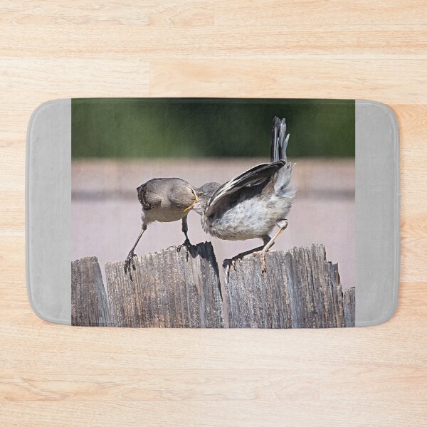 Item preview, Mama Mockingbird Feeding Her Fledgling (Down the Hatch) designed and sold by CarolM.