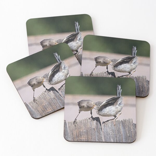 Item preview, Mama Mockingbird Feeding Her Fledgling (Down the Hatch) designed and sold by CarolM.