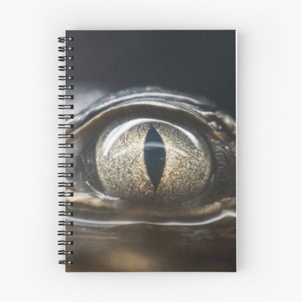 Item preview, Joji - Glimpse of Us designed and sold by Zestpond.