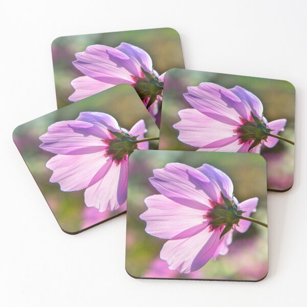 Item preview, Backlit Flora designed and sold by Dave Hare Photography.