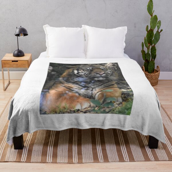 Item preview, Sumatran Tiger  designed and sold by Sharon the Zoo Lady Photography .