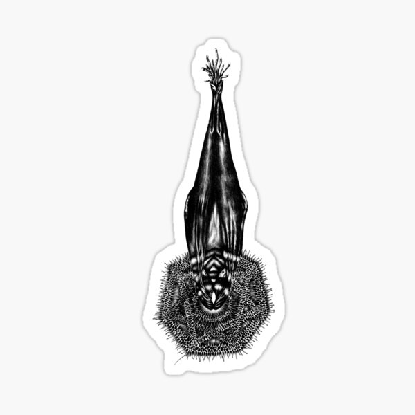 The Sacred Whale Sticker