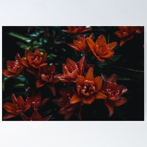Item preview, Bloody Lilies designed and sold by MissMossyKnoll.