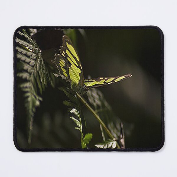 Item preview,  Keep It Simple Chickens designed and sold by NediaNujra.