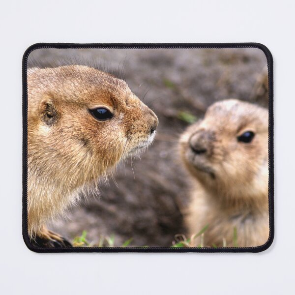 Item preview, Prairie Dogs Greeting Each Other designed and sold by PrintPortal.