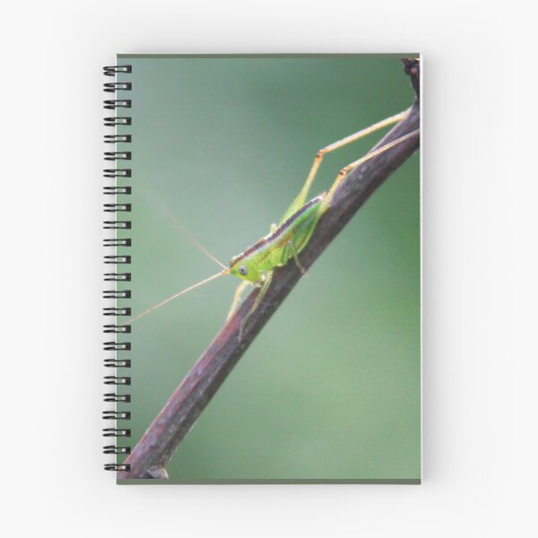 Item preview, Young Grasshopper designed and sold by dlamb.