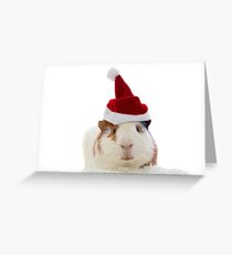 Christmas Guinea Pig in Santa's hat Greeting Card