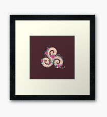 Triskele Framed Print