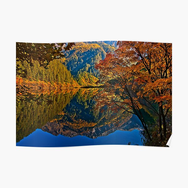 Autumn Reflection in Mirror Lake, Jiuzhaigou Poster