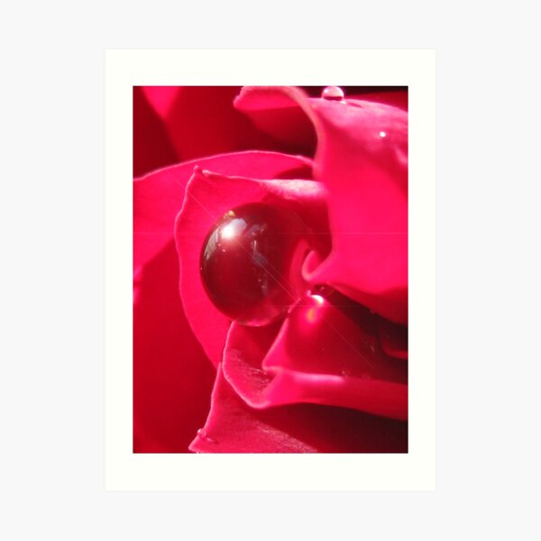 Red Splendor Art Print