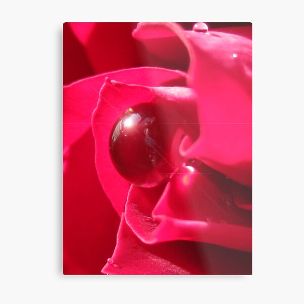 Red Splendor Metal Print