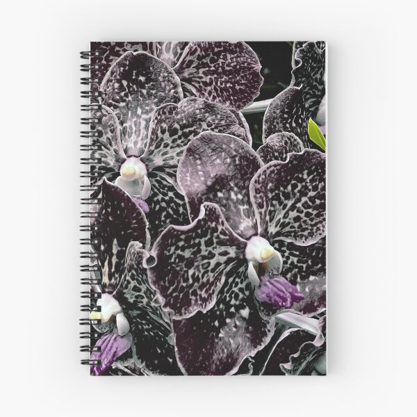 Item preview, Black White Orchids with Violet tone and a bit of green yellow, Flower Photography designed and sold by Gulnaz Turdalieva.