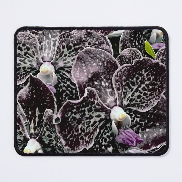 Item preview, Black White Orchids with Violet tone and a bit of green yellow, Flower Photography designed and sold by Gulnaz Turdalieva.