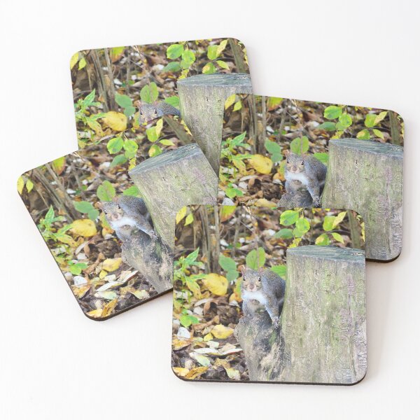Item preview, Squirrel Staring At The Camera designed and sold by BackyardBirder.