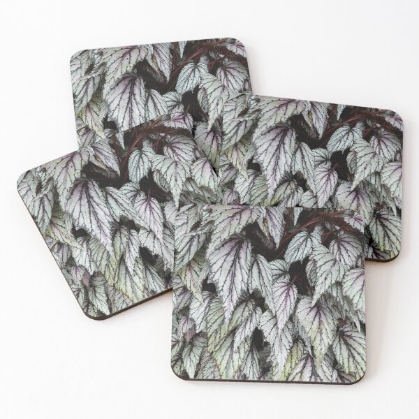 Item preview, Begonia designed and sold by sereneL.