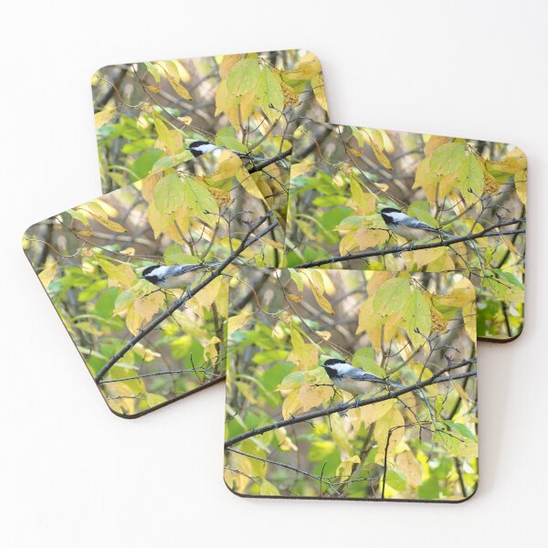 Item preview, Black-capped Chickadee Perched On a Tree Branch designed and sold by BackyardBirder.
