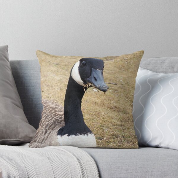 Item preview, Canada Goose With Sticks In Its Mouth - Wild Canada Goose Bird designed and sold by BackyardBirder.