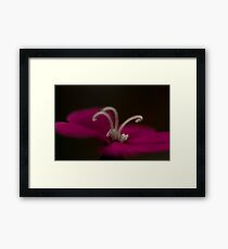 Think Pink Framed Print