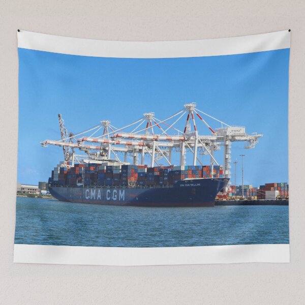 Item preview, CMA CGM Bellini container ship  designed and sold by FranWest.
