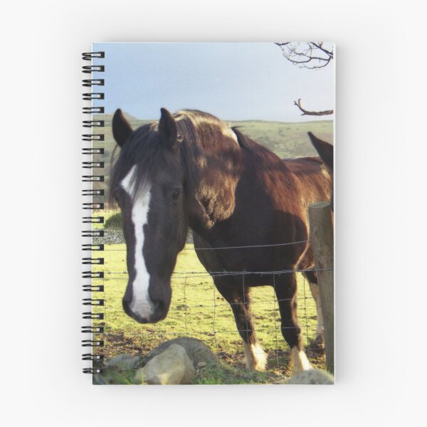 Item preview, Horses in Llanfairfechan designed and sold by Michael Haslam.