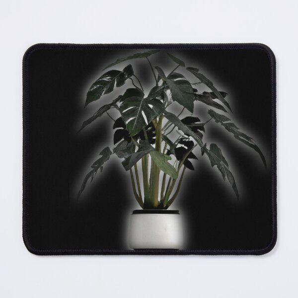 Item preview, Philodendron potted plant -- 3D designed and sold by glitchman2.