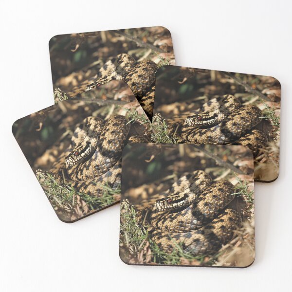 Item preview, Adder - Vipera berus designed and sold by Christian Moss.