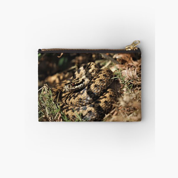 Item preview, Adder - Vipera berus designed and sold by Christian Moss.