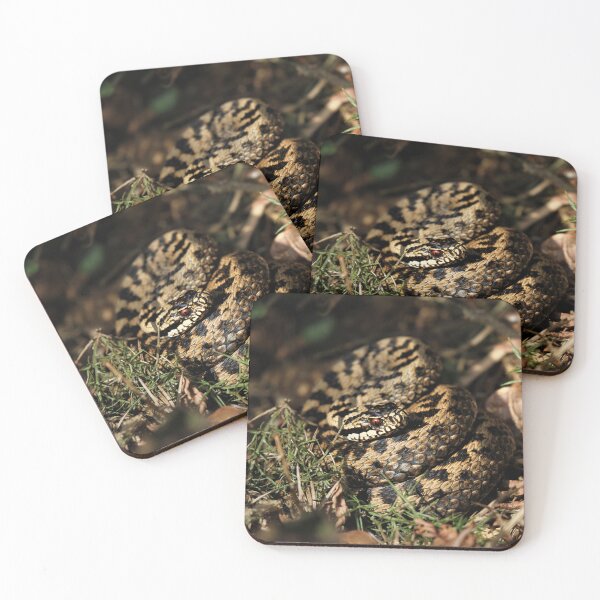 Item preview, Adder - Vipera berus designed and sold by Christian Moss.