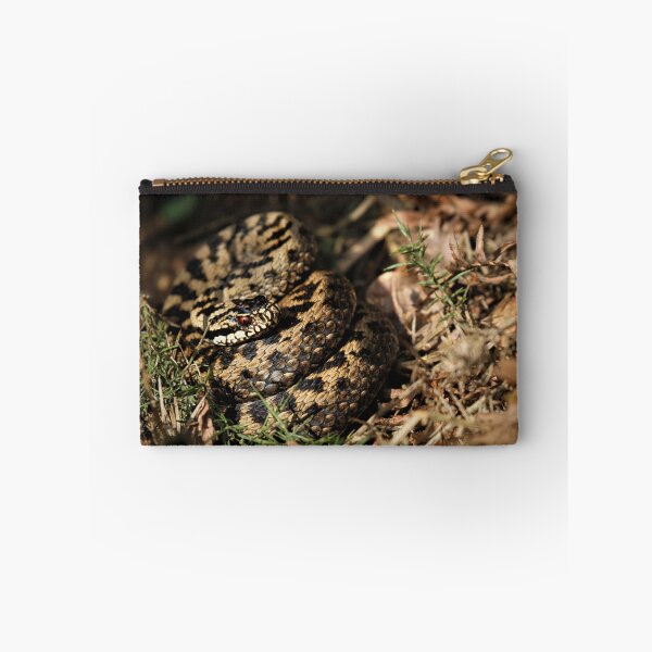 Item preview, Adder - Vipera berus designed and sold by Christian Moss.
