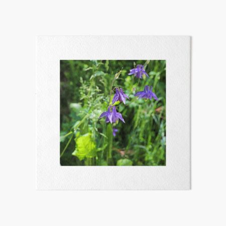 Item preview, Flowers on the side of the walkway, Arrowtown, Otago, NZ designed and sold by PhotoDesignNZ.