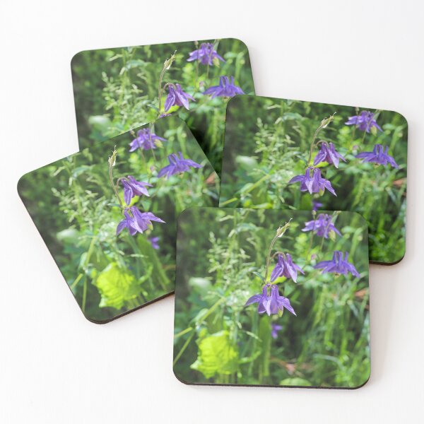 Item preview, Flowers on the side of the walkway, Arrowtown, Otago, NZ designed and sold by PhotoDesignNZ.