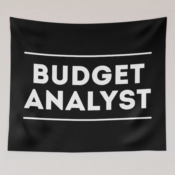 Item preview, Budget Analyst designed and sold by NestaReign.