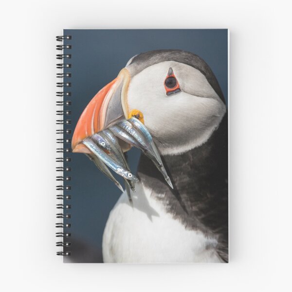 Item preview, Pair of Puffins designed and sold by cjdolfin.