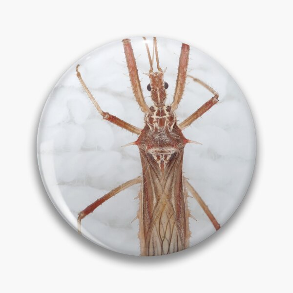 Item preview, Spiny Assassin bug designed and sold by SDym Photography.