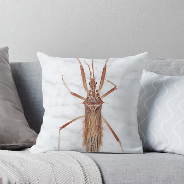 Aperçu de l'œuvre Insecte assassin épineux créée et vendue par SDym Photography.
