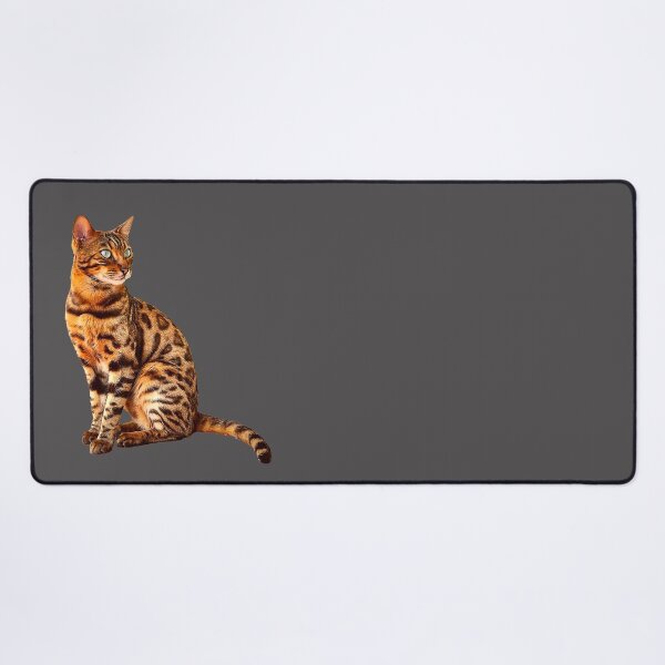 Artikelvorschau, Bengalkatze Kätzchen Erstaunliche Leopardenkatze entworfen und verkauft von Elarex.