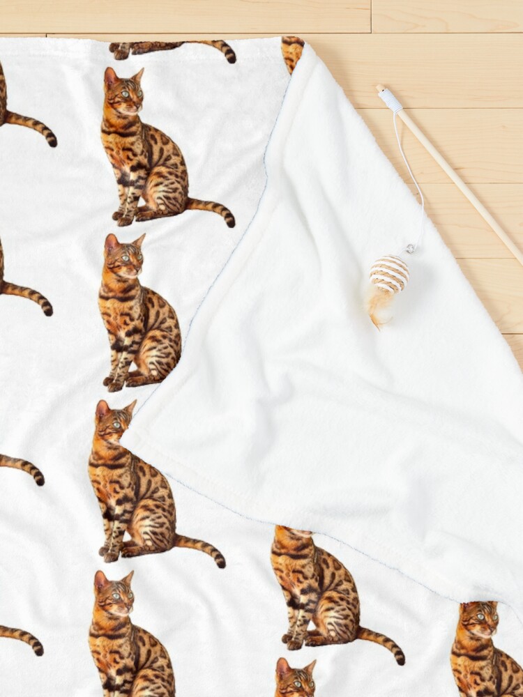 Bengal Cat Kitten Active T-Shirt for Sale by Elarex