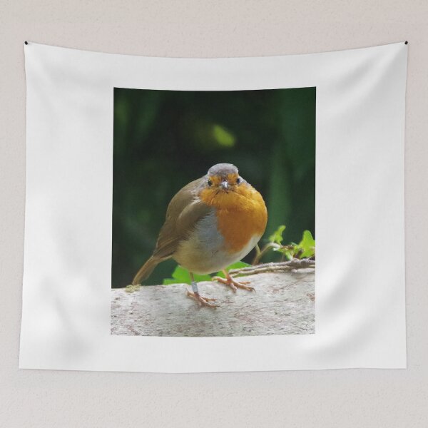 Item preview, A Round Robin designed and sold by lezvee.