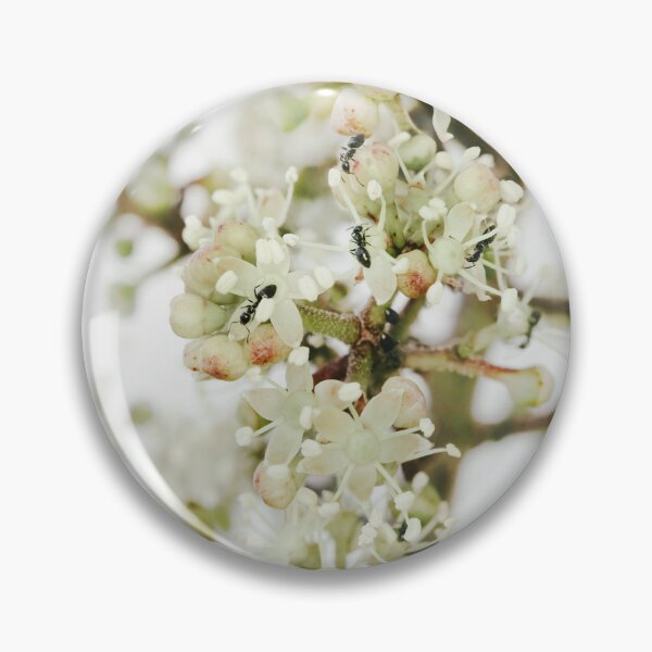 Item preview, Nectar of Life designed and sold by Siene Browne.
