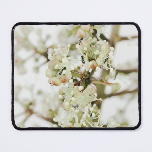 Item preview, Nectar of Life designed and sold by Siene Browne.